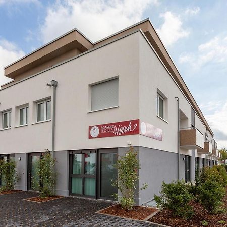 Kehl Boardinghouse Hirsch - Apartments In Kork מראה חיצוני תמונה